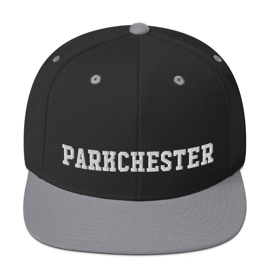 Parkchester Snapback Hat - Vivant Garde