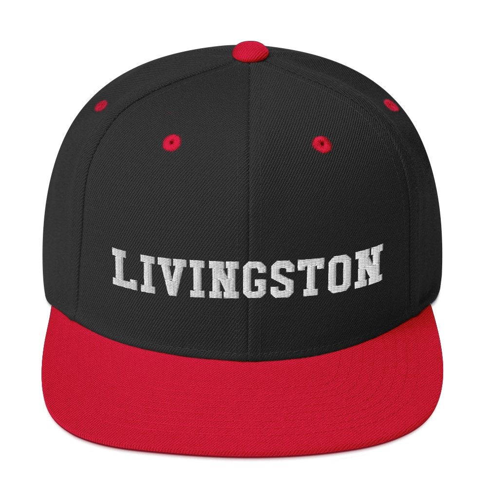 Livingston Snapback Hat - Vivant Garde