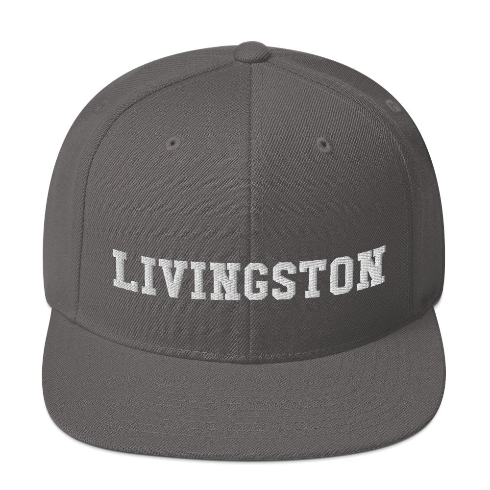 Livingston Snapback Hat - Vivant Garde