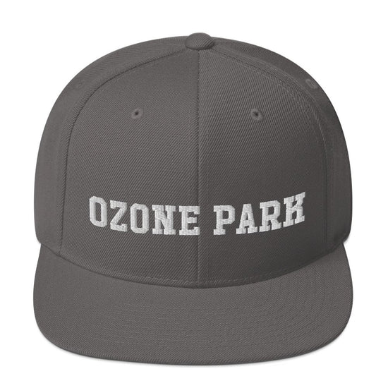 Ozone Park Snapback Hat - Vivant Garde