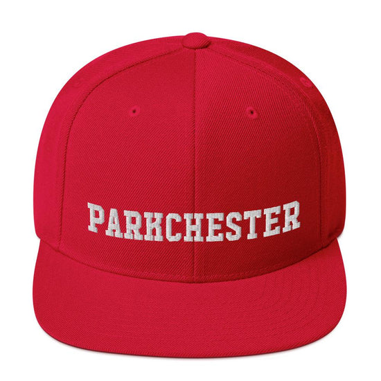 Parkchester Snapback Hat - Vivant Garde