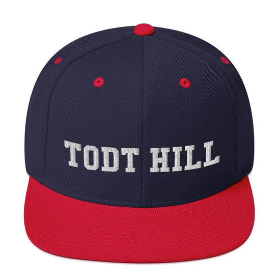 Todt Hill Snapback Hat - Vivant Garde