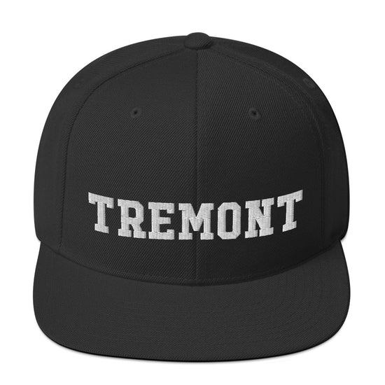 Tremont Snapback Hat - Vivant Garde